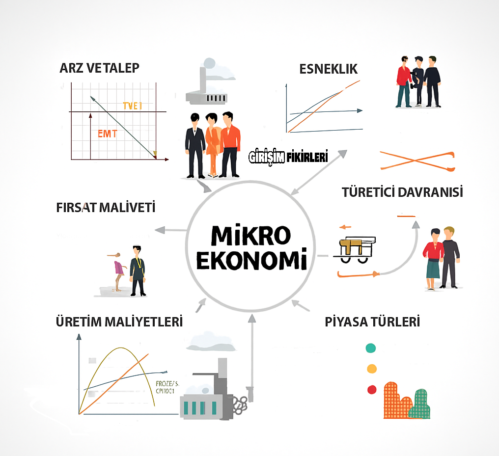 Mikro Ekonomi Nedir?