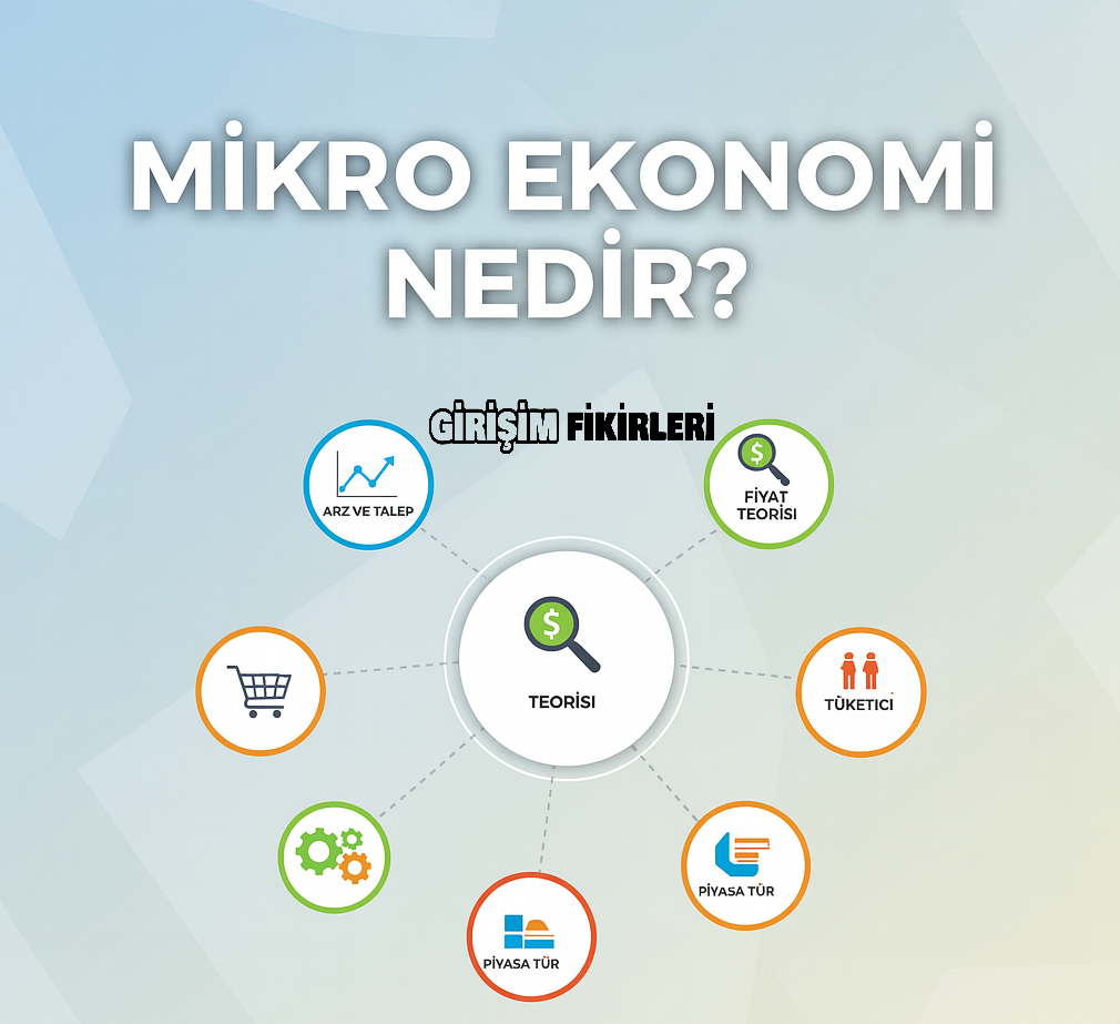 Mikro Ekonomi Nedir?