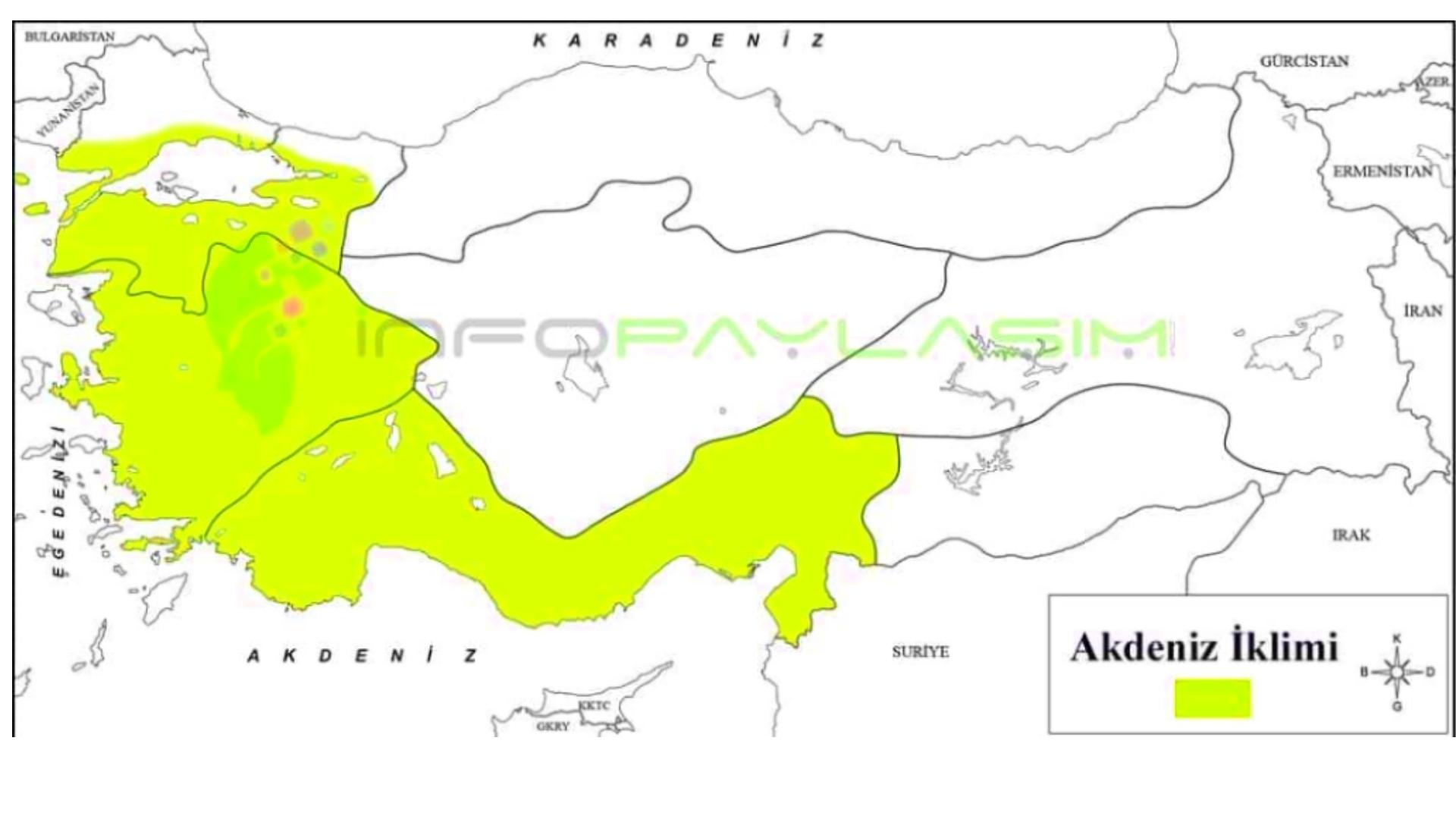 akdeniz iklimi dagilimi
