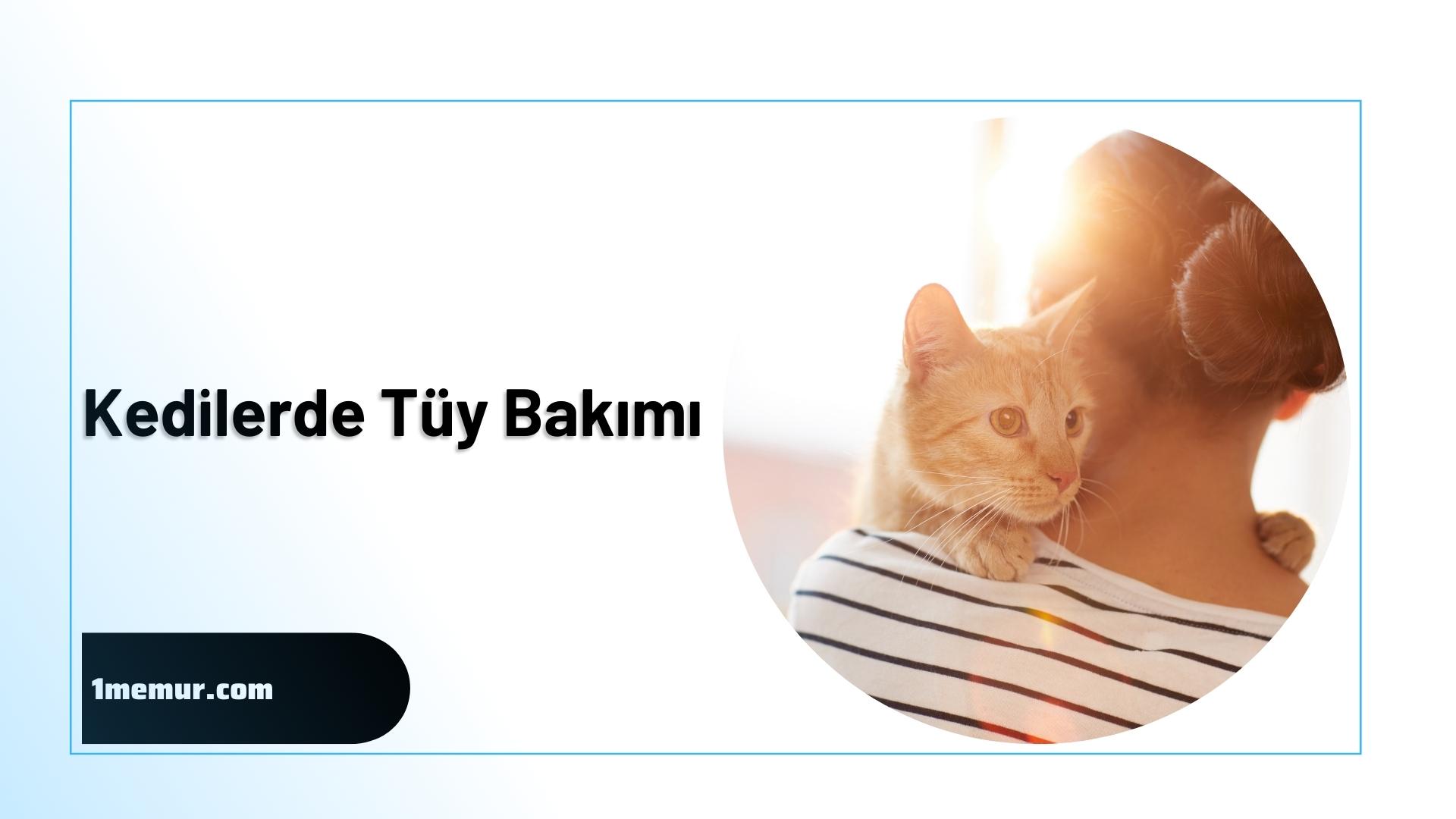 kedi-tuy-bakimi kedi tuy bakimi